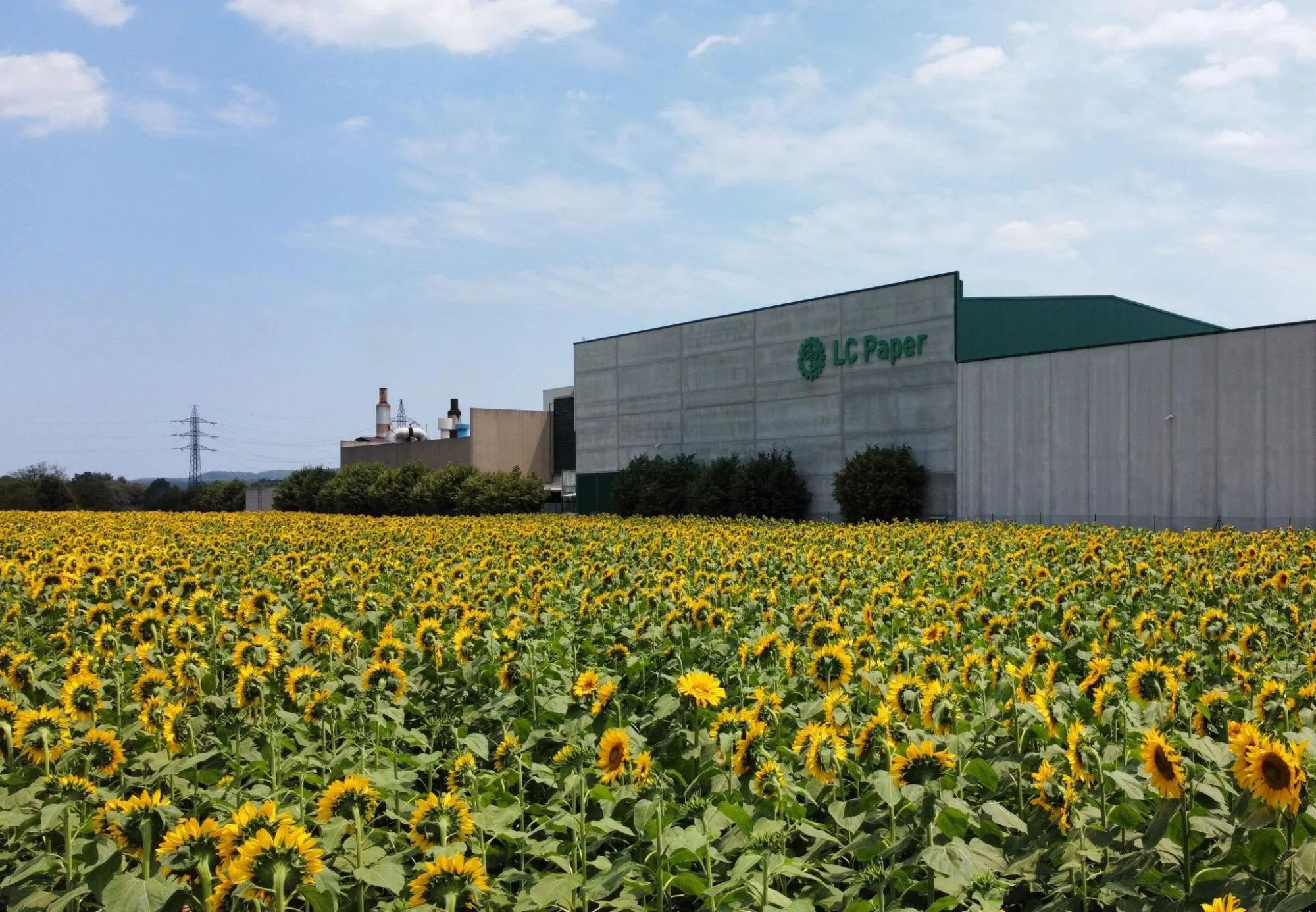 Fábrica de LC Paper rodeada de un campo de girasoles